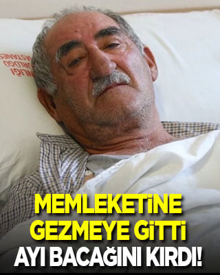 Memleketine gezmeye gitti, ayı bacağını kırdı!