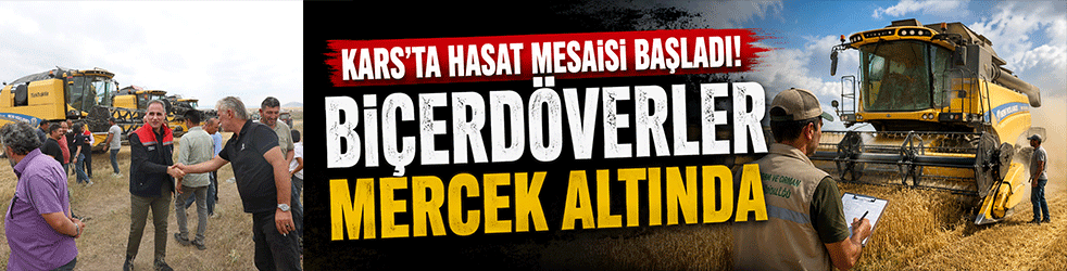 Kars'ta hasat mesaisi başladı! Biçerdöverler mercek altında