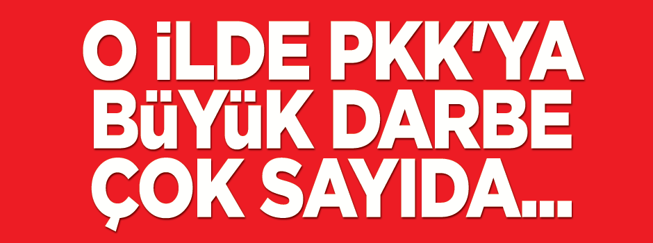 Kars'ta PKK'ya darbe! Çok sayıda...