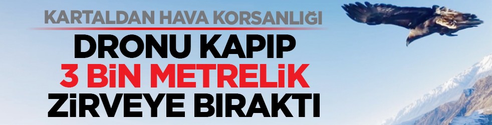 Kartaldan hava korsanlığı: Dronu kapıp 3 bin metrelik zirveye bıraktı