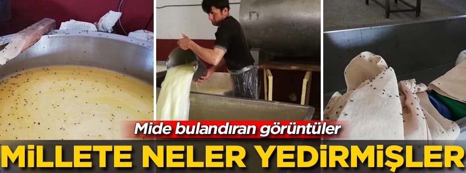 Kaşar peyniri diye bakın neleri yedirmişler! Mide bulandıran görüntüler