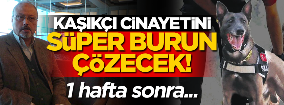 Kaşıkçı aramalarına Melo da katıldı