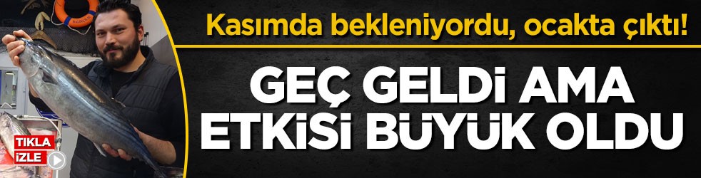 Kasımda bekleniyordu, ocakta çıktı! Geç geldi ama etkisi büyük oldu