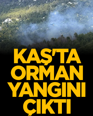 Kaş'ta orman yangını çıktı