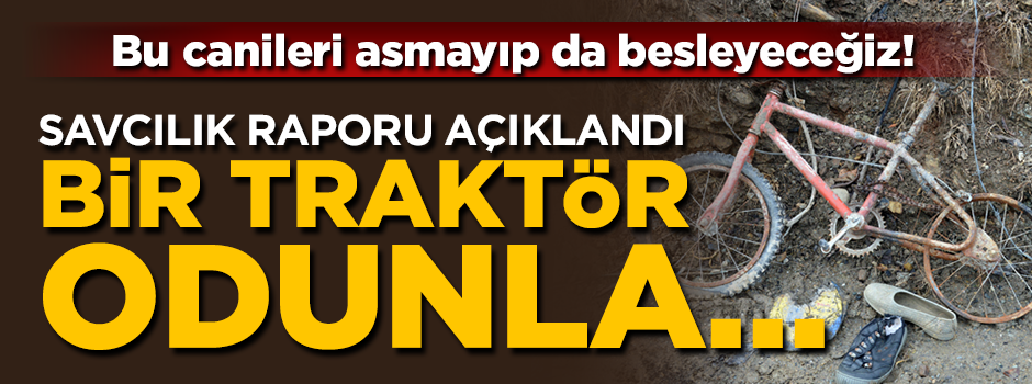 Kastamonu'da kayıp aileye katliamına ilişkin savcılık raporu açıklandı