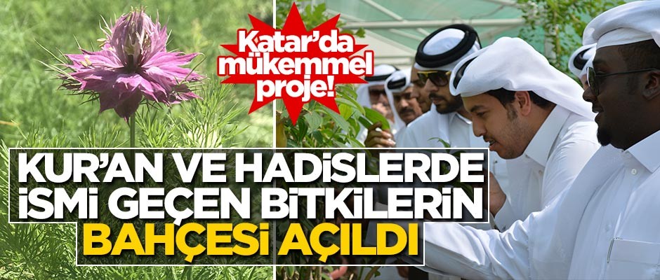 Katar'da mükemmel hizmet! Kur'an ve hadislerde adı geçen bitkiler için botanik bahçesi kuruldu