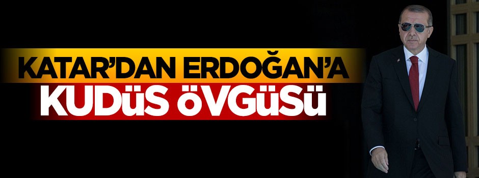 Katar'dan Cumhurbaşkanı Erdoğan'a övgü