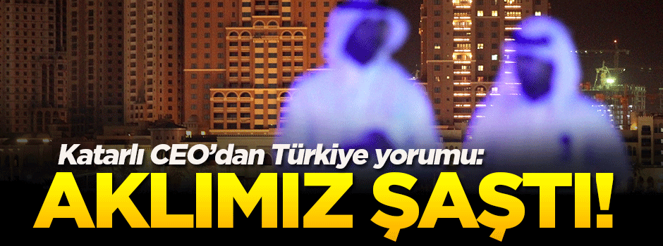 Katarlı CEO'dan Türkiye yorumu: Aklımız şaştı