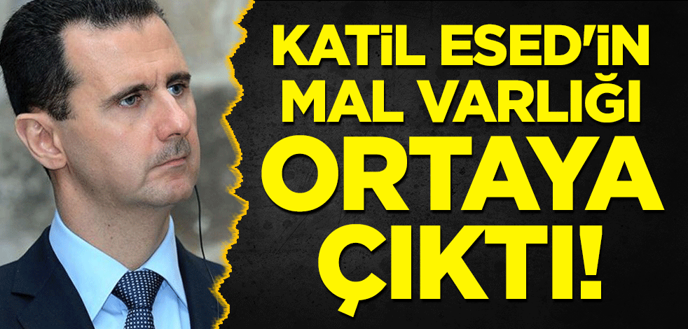 Katil Esed'in mal varlığı ortaya çıktı!
