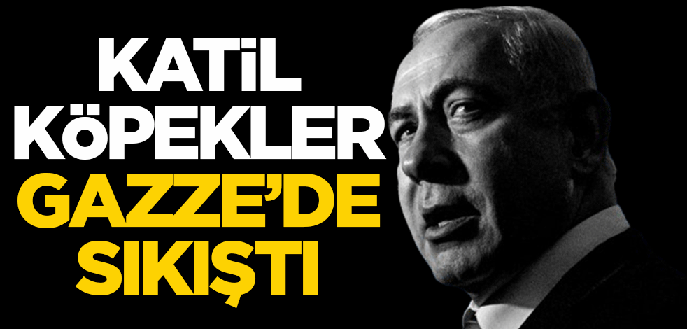 Katil köpekler Gazze'de sıkıştı