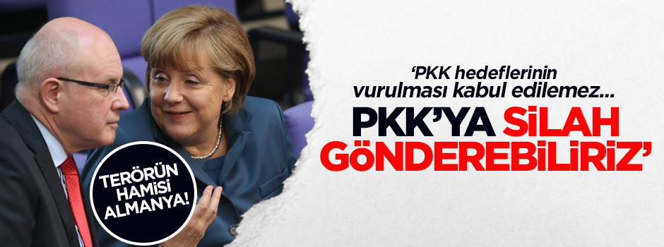 Kauder: PKK'ya silah gönderebiliriz