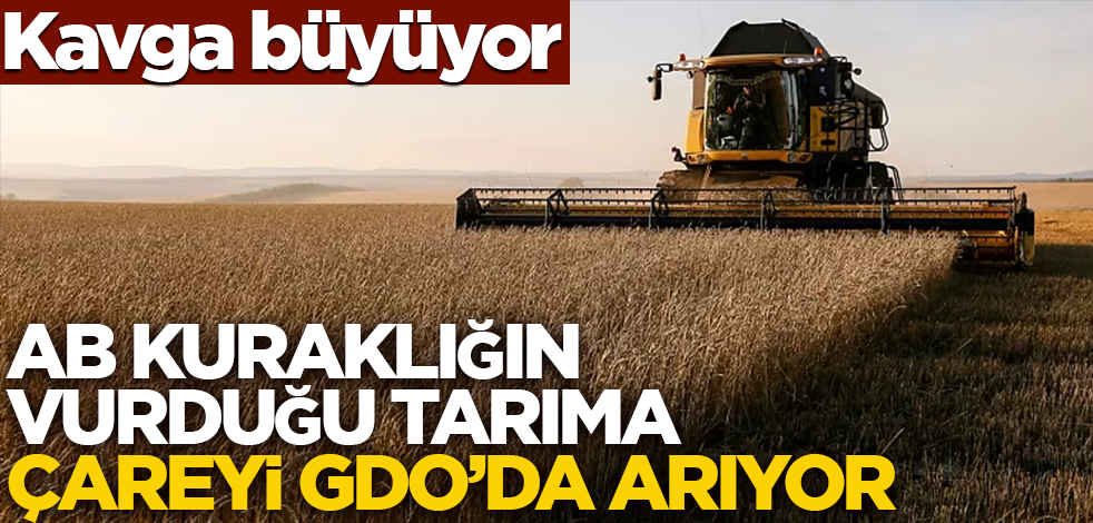 Kavga büyüyor! AB kuraklığın vurduğu tarıma çareyi GDO'da arıyor