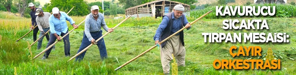 Kavurucu sıcakta tırpan mesaisi: Çayır orkestrası 