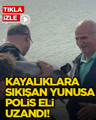 Kayalıklara sıkışan yunusa polis eli uzandı!