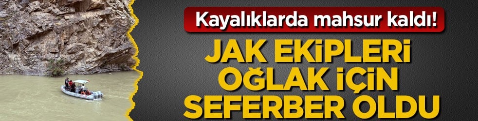 Kayalıklarda mahsur kaldı! JAK ekipleri oğlak için seferber oldu
