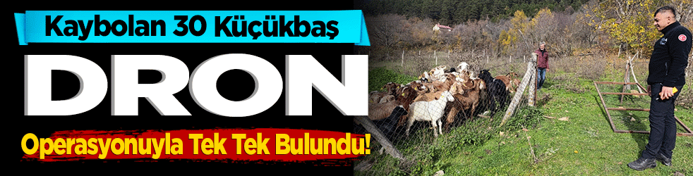 Kaybolan 30 Küçükbaş, Dron Operasyonuyla Tek Tek Bulundu!