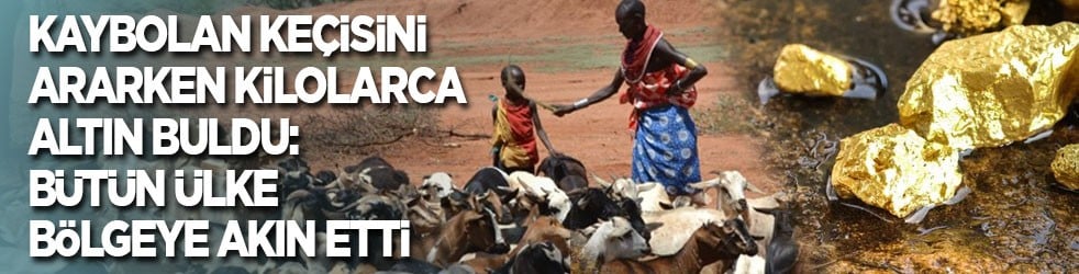 Kaybolan keçisini ararken kilolarca altın buldu: Bütün ülke oraya akın etti 