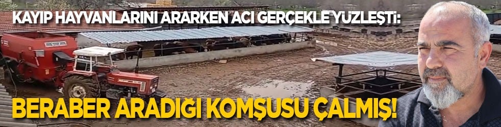 Kayıp hayvanlarını ararken acı gerçekle yüzleşti: Beraber aradığı komşusu çalmış!