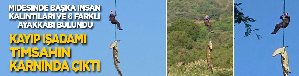 Kayıp işadamını timsah yemiş: Midesinden başka insan kalıntıları ve 6 ayakkabı çıktı