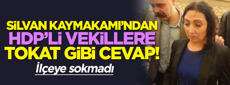 Kaymakam'dan HDP'li vekile tokat gibi cevap!