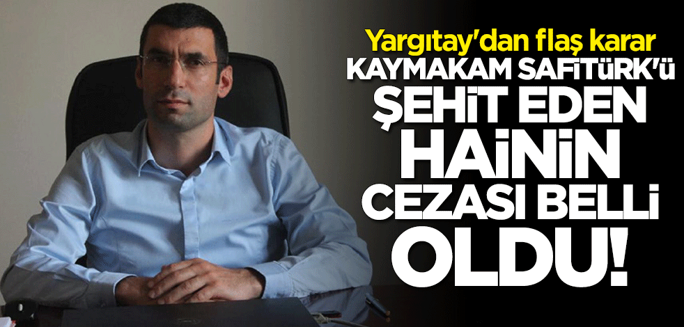 Kaymakam Muhammed Fatih Safitürk'ü şehit eden Şerif Mesutoğlu'nun cezası belli oldu