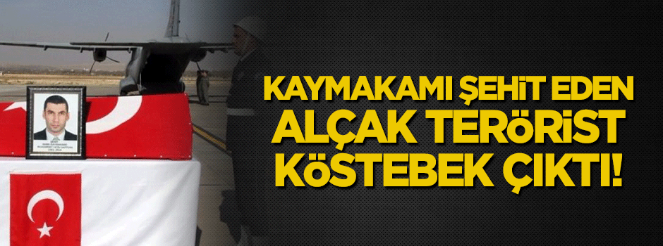 Kaymakamı şehit eden terörist köstebek çıktı