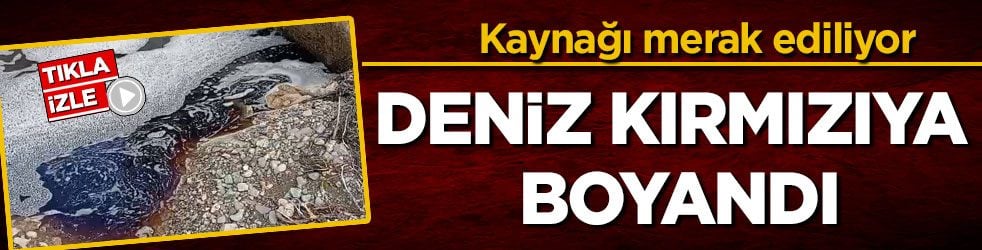 Kaynağı merak ediliyor! Yalova’da deniz kırmızıya boyandı