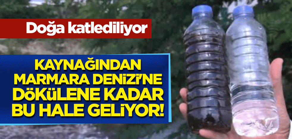 Kaynağından Marmara Denizi'ne dökülene kadar bu hale geliyor! Doğa katlediliyor