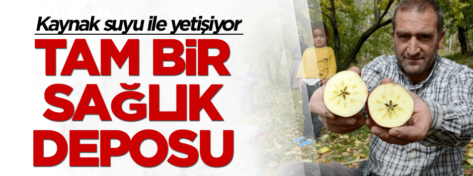 Kaynak suyu ile yetişiyor ve tam bir sağlık deposu