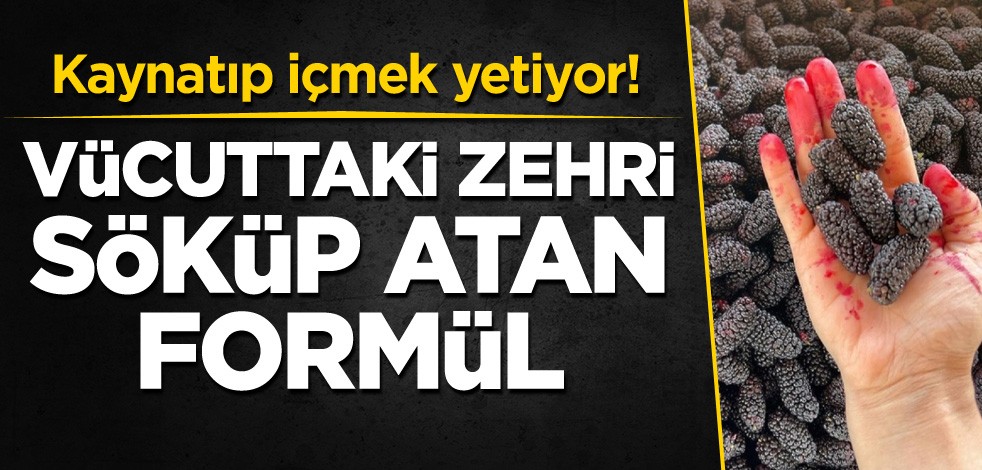 Kaynatıp içmek yetiyor! Vücuttaki zehri söküp atan formül