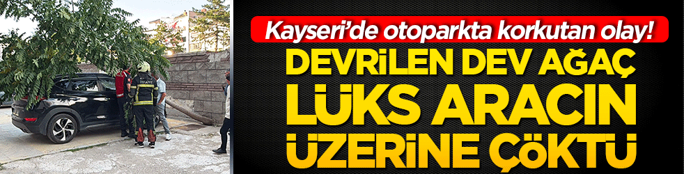 Kayseri’de otoparkta korkutan olay! Devrilen dev ağaç lüks aracın üzerine çöktü!
