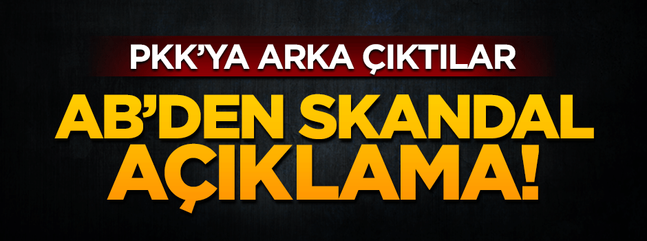 Kayyım kararına AB'den skandal yorum