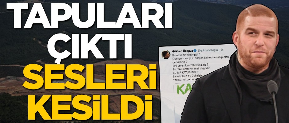 Kaz Dağları skandalı! Tapuları ortaya çıktı sesleri kesildi