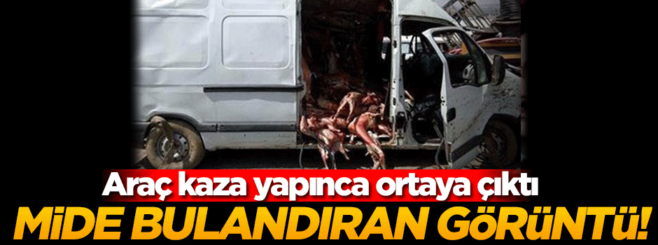 Kaza yapan minibüsten kaçak et çıktı