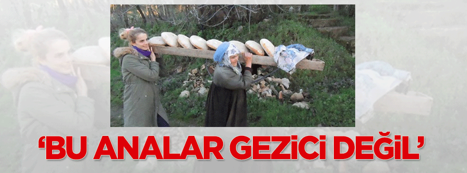 Kazaz: Bu analar Gezici değil