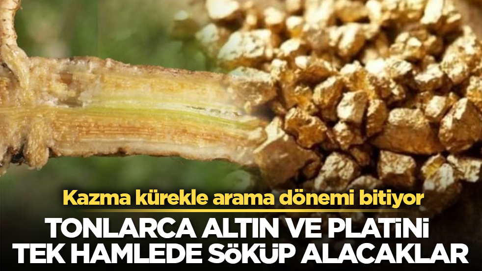 Kazma kürekle arama dönemi bitiyor! Tonlarca altın ve platini tek hamlede söküp alacaklar