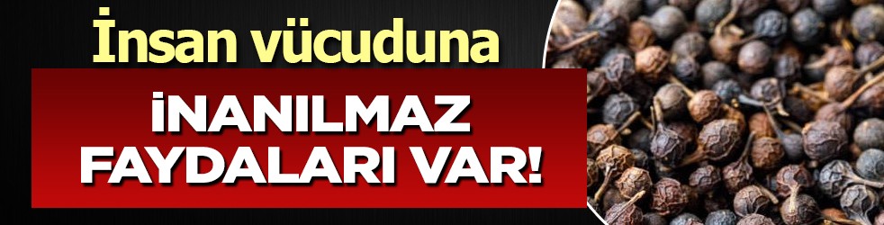 Kebabiye otu (tohumu): Kebabiye ne işe yarar, tohumunun faydaları nelerdir? 1 çay kaşığı: motor gibi çalışacak