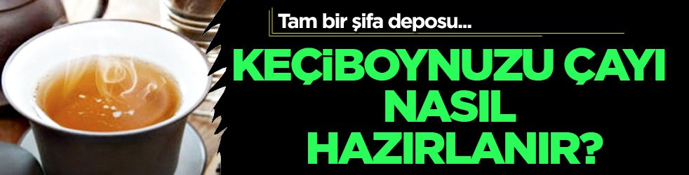  Keçiboynuzu çayı nasıl hazırlanır? Şifalı su öyle bir faydası var ki! Şimdi hemen yapın
