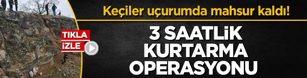 Keçiler uçurumda mahsur kaldı! 3 saatlik kurtarma operasyonu