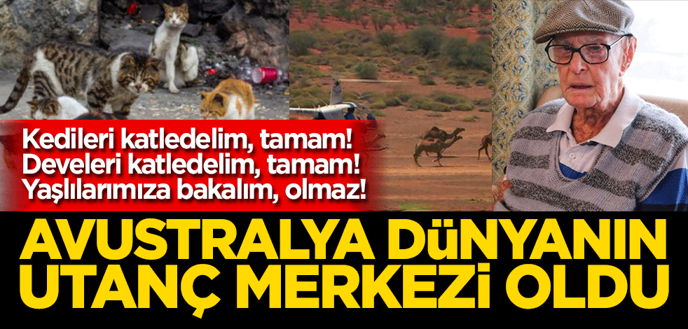 Kedi katledelim, tamam! Deve katledelim, tamam! Yaşlılarımıza bakalım, olmaz!