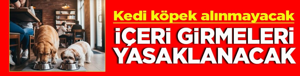 Kedi köpek alınmayacak İçeri girmeleri yasaklanacak