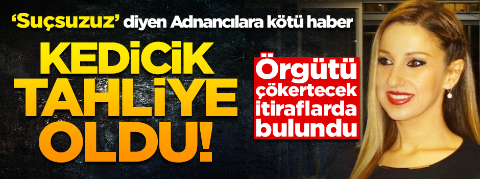 Kedicik itirafçı oldu! Örgütü çökertecek ifade verdi