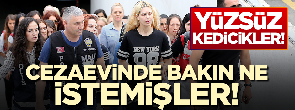 Kedicikler cezaevinde bakın ilk ne istemiş!