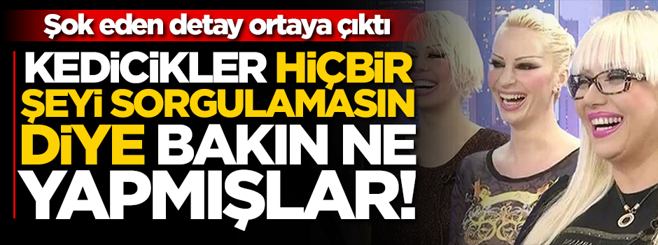 Kedicikler hiçbir şeyi sorgulamasın diye bakın ne yapmışlar!