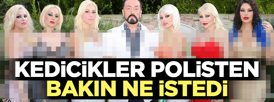 Kedicikler polisten bakın ne istedi