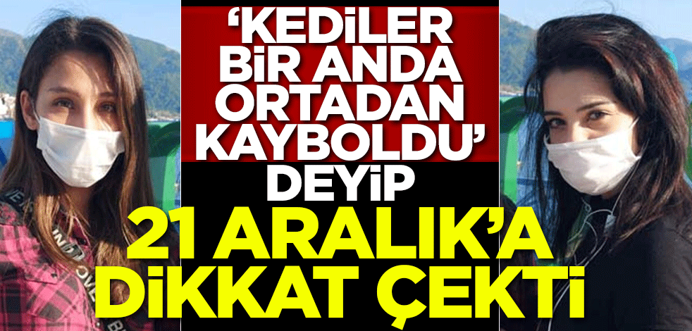 'Kediler bir anda ortadan kayboldu' deyip 21 Aralık'a dikkat çekti