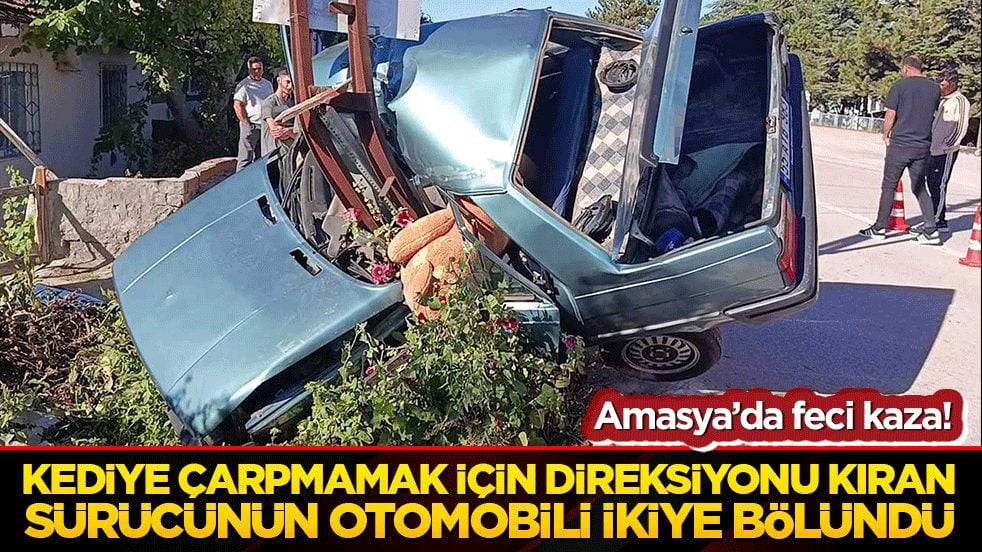 Kediye çarpmamak için direksiyonu kıran sürücünün otomobili ikiye bölündü