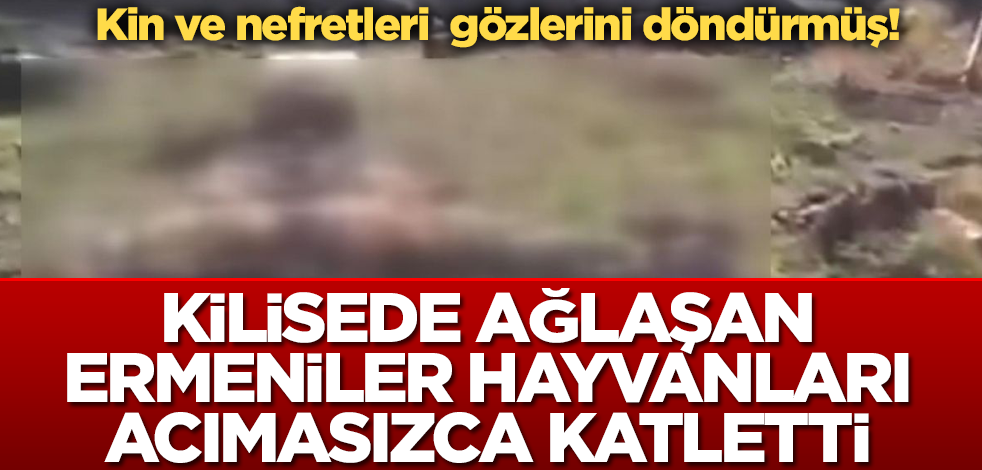 Kelbecer'i boşaltan Ermeniler, hayvanları telef etti