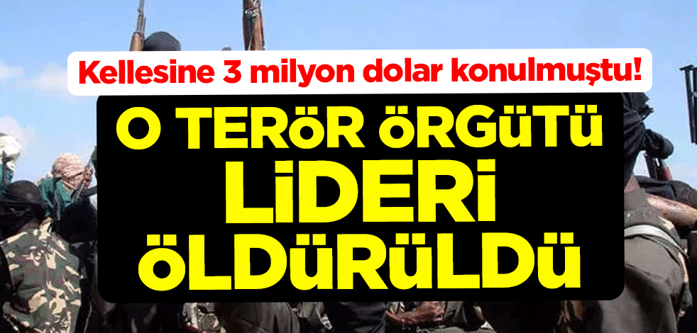 Kellesine 3 milyon dolar konulmuştu! O terör örgütü lideri öldürüldü