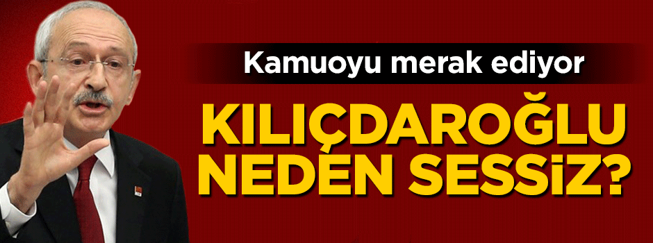 Kemal Kılıçdaroğlu'ndan 'vize' sessizliği